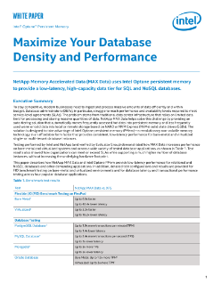 Maximize NetApp Database Performance